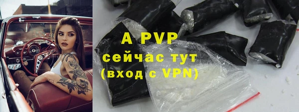 прущий лед Богданович