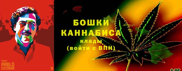 амф Богородск