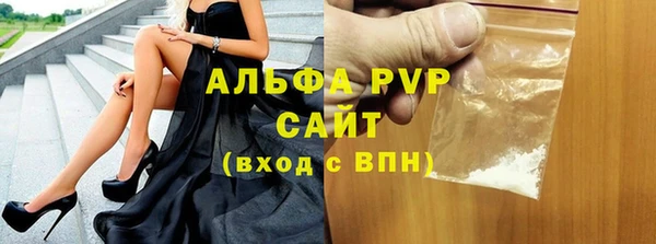 прущий лед Богданович