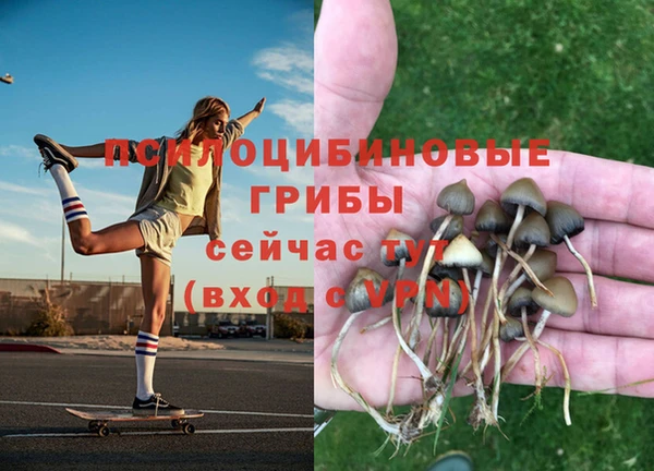 прущий лед Богданович