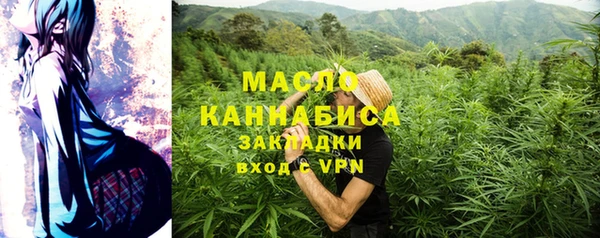 прущий лед Богданович