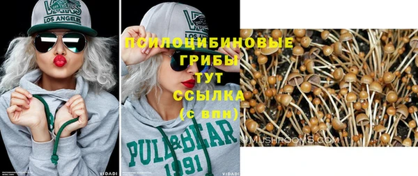 ALPHA PVP Богородицк
