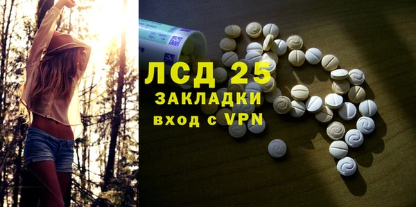 прущий лед Богданович