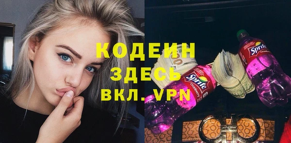прущий лед Богданович