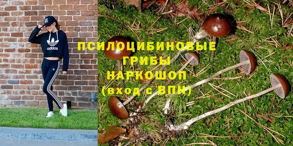ALPHA PVP Богородицк