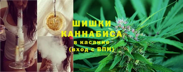 амф Богородск