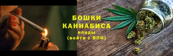 прущий лед Богданович
